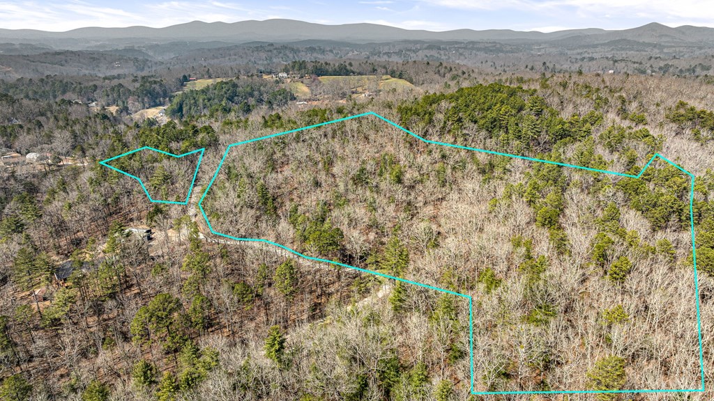 3 Old Mill Road Mineral Bluff, GA 30559 - Photo 24 of 45 a view of a forest with a forest