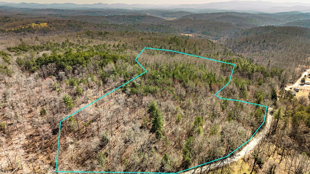 3 Old Mill Road Mineral Bluff, GA 30559 - Photo 26 of 45 a view of a field with a mountain in the background