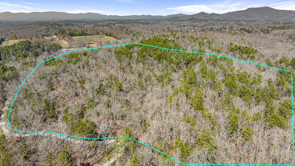3 Old Mill Road Mineral Bluff, GA 30559 - Photo 27 of 45 a view of an outdoor space with a lake view
