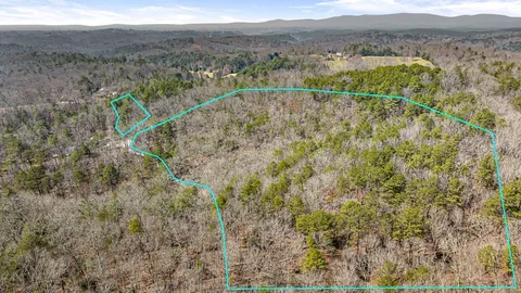 a view of a forest with a mountain view
