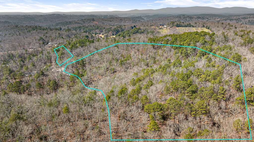 3 Old Mill Road Mineral Bluff, GA 30559 - Photo 28 of 45 a view of a forest with a mountain view