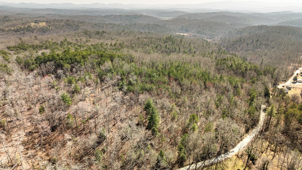 3 Old Mill Road Mineral Bluff, GA 30559 - Photo 29 of 45 a view of a mountain in the distance