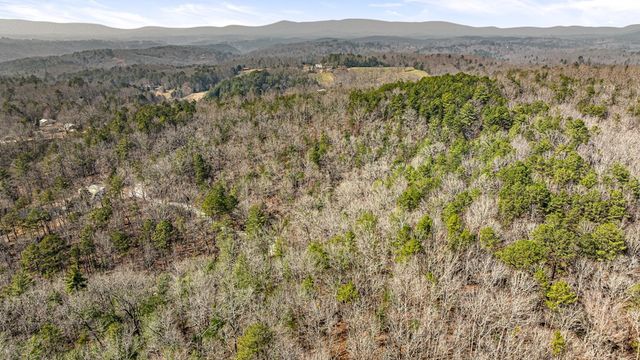 a view of a lush green forest with lush green forest