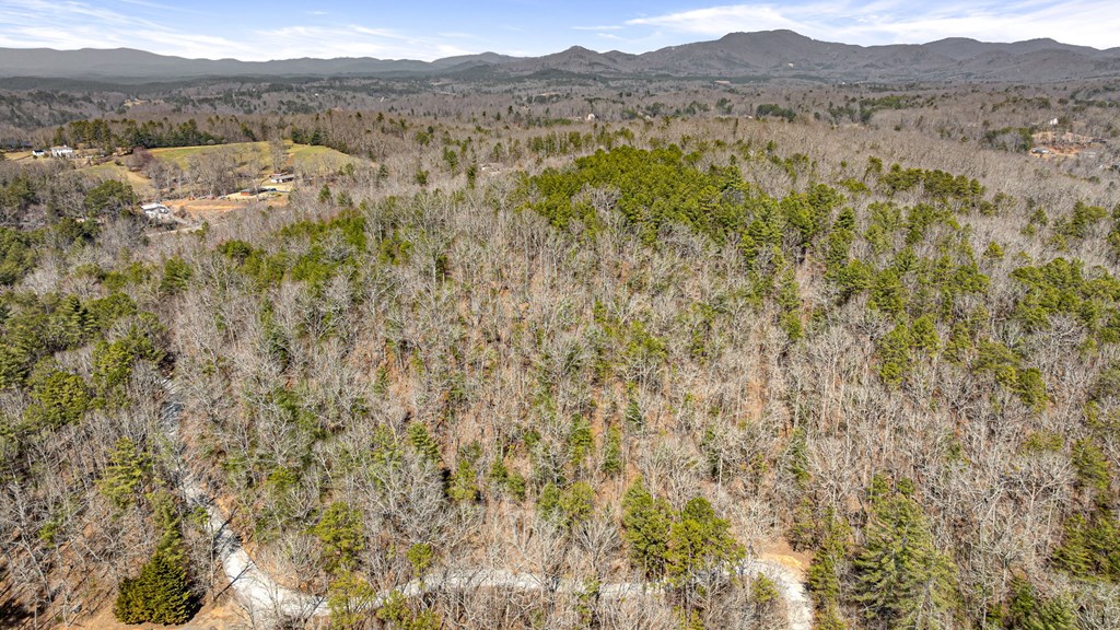 3 Old Mill Road Mineral Bluff, GA 30559 - Photo 34 of 45 a view of mountain with trees in the background