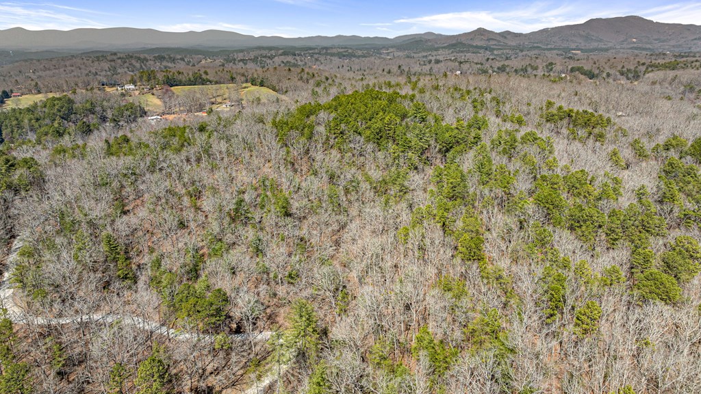 3 Old Mill Road Mineral Bluff, GA 30559 - Photo 35 of 45 a view of an outdoor space with mountain view