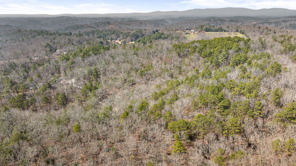 3 Old Mill Road Mineral Bluff, GA 30559 - Photo 36 of 45 a view of a field with trees in the background