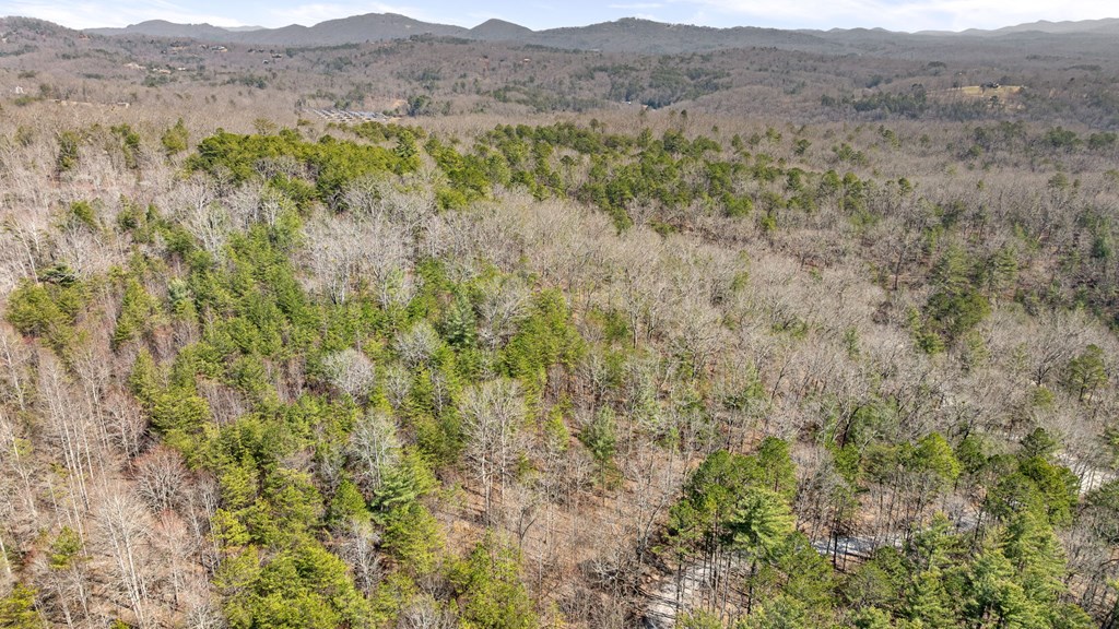 3 Old Mill Road Mineral Bluff, GA 30559 - Photo 39 of 45 a view of mountain and grassy field