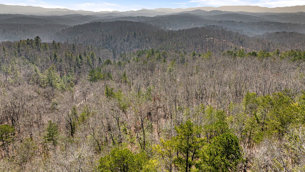 3 Old Mill Road Mineral Bluff, GA 30559 - Photo 44 of 45 a view of mountain view with lots of trees