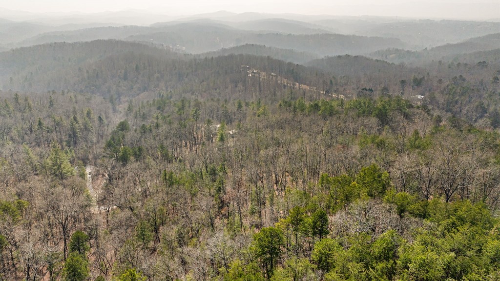3 Old Mill Road Mineral Bluff, GA 30559 - Photo 5 of 45 a view of mountain view with mountains in the background