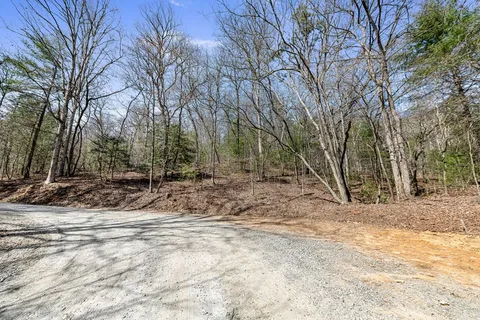 a view of a yard with trees