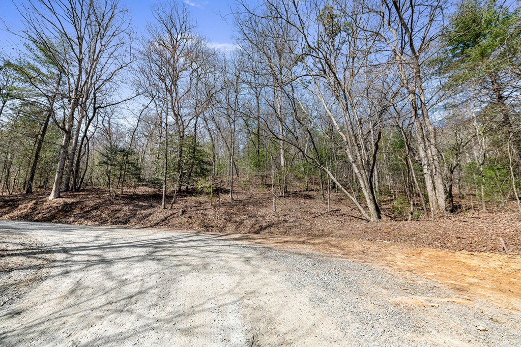 3 Old Mill Road Mineral Bluff, GA 30559 - Photo 6 of 45 a view of a yard with trees