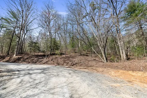 a view of a yard with trees
