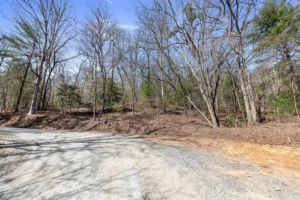 3 Old Mill Road Mineral Bluff, GA 30559 - Photo 7 of 45 a view of a yard with trees