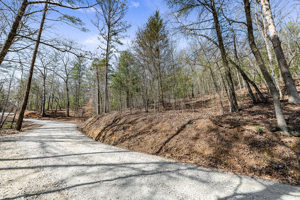 3 Old Mill Road Mineral Bluff, GA 30559 - Photo 8 of 45 a view of park with trees