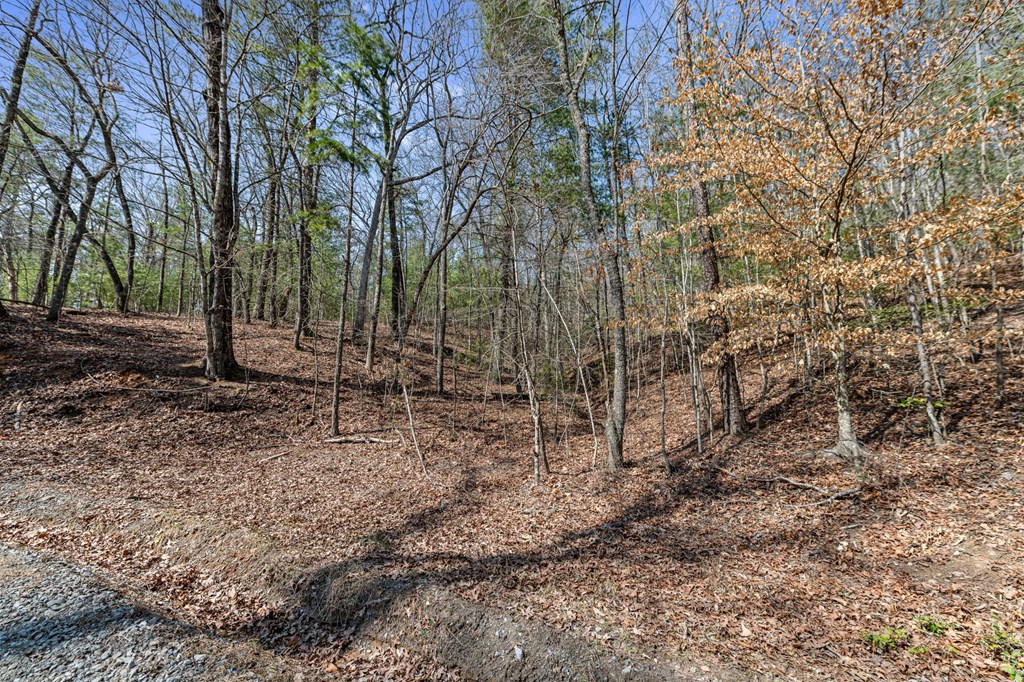 3 Old Mill Road Mineral Bluff, GA 30559 - Photo 10 of 45 a view of a yard with a tree