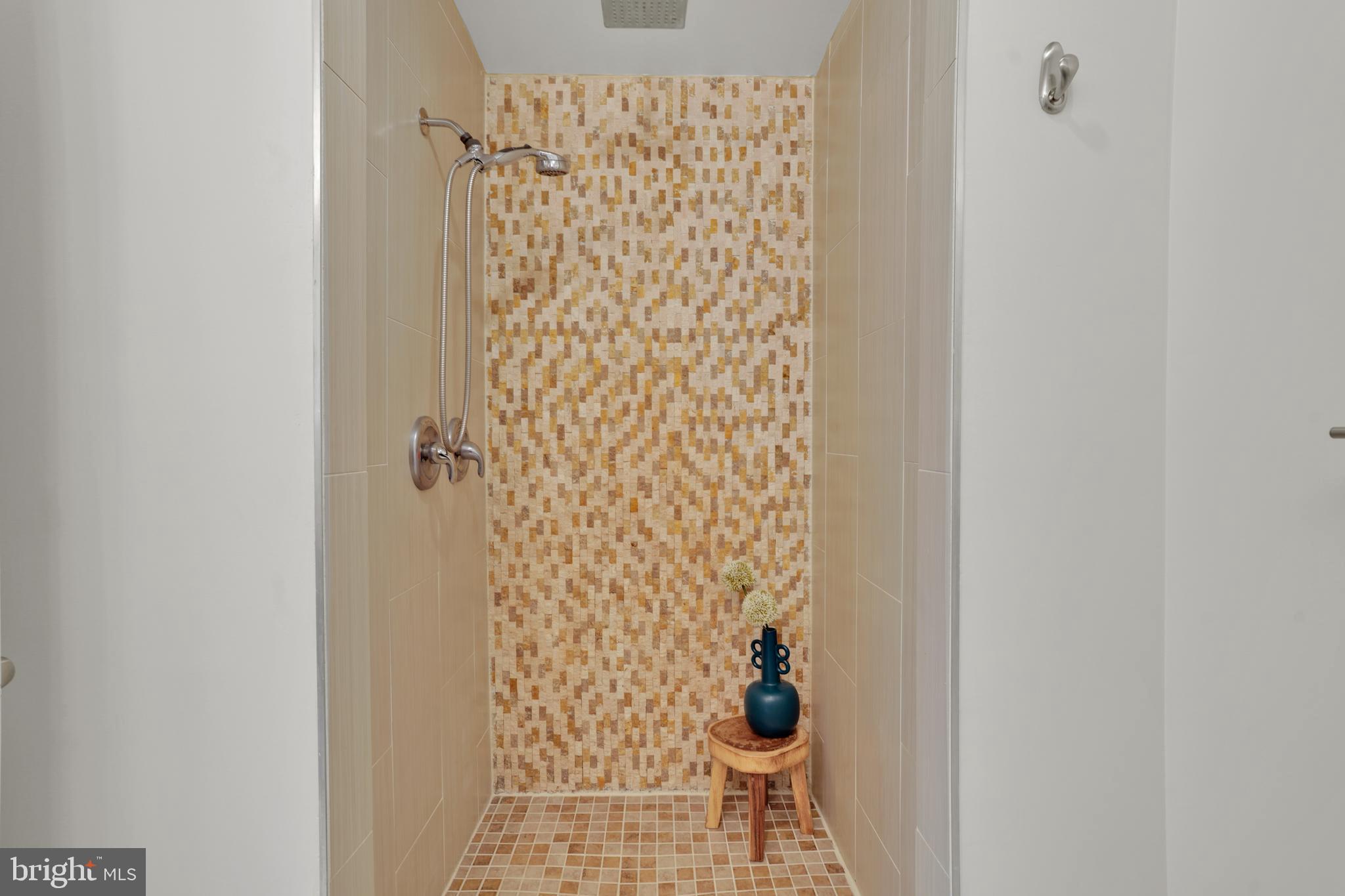 5132 7th Street Northwest Washington, DC 20011 - Photo 16 of 34 a bathroom with a shower curtain