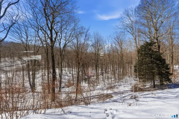 a view of a backyard of the house