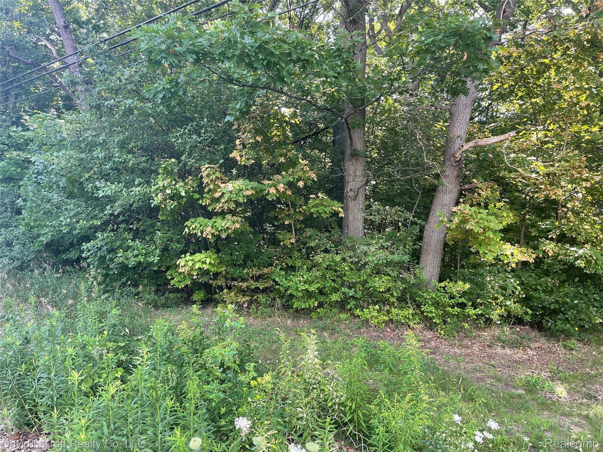 7533 Port Austin Road Caseville, MI 48725 - Photo 1 of 7 7533PortAustin.JPG