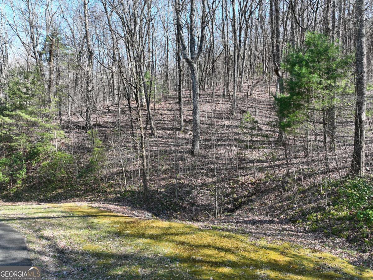a view of swimming pool