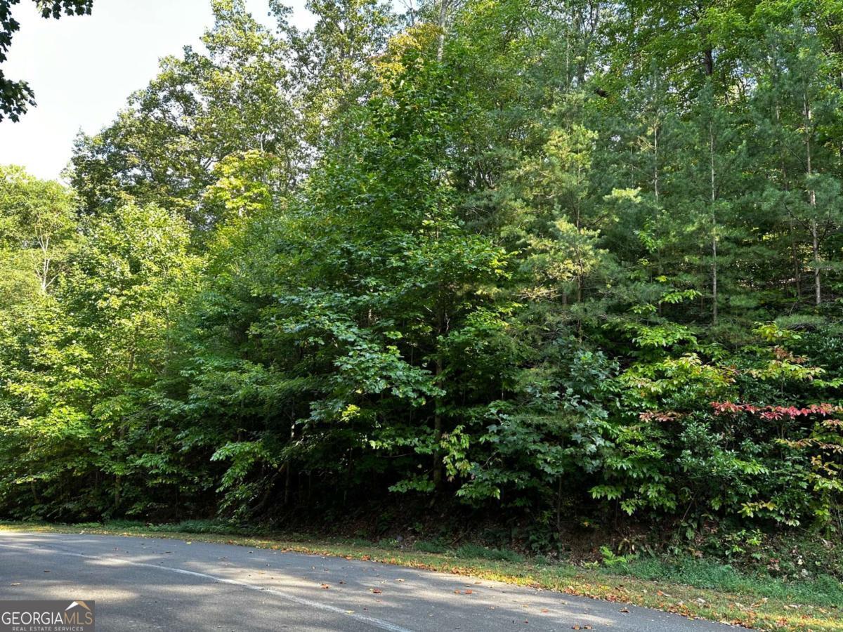 66 St. Andrews Way Jasper, GA 30143 - Photo 13 of 35 a view of a yard