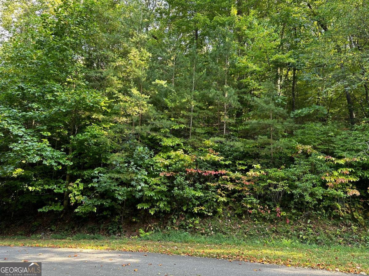 66 St. Andrews Way Jasper, GA 30143 - Photo 14 of 35 a view of a yard