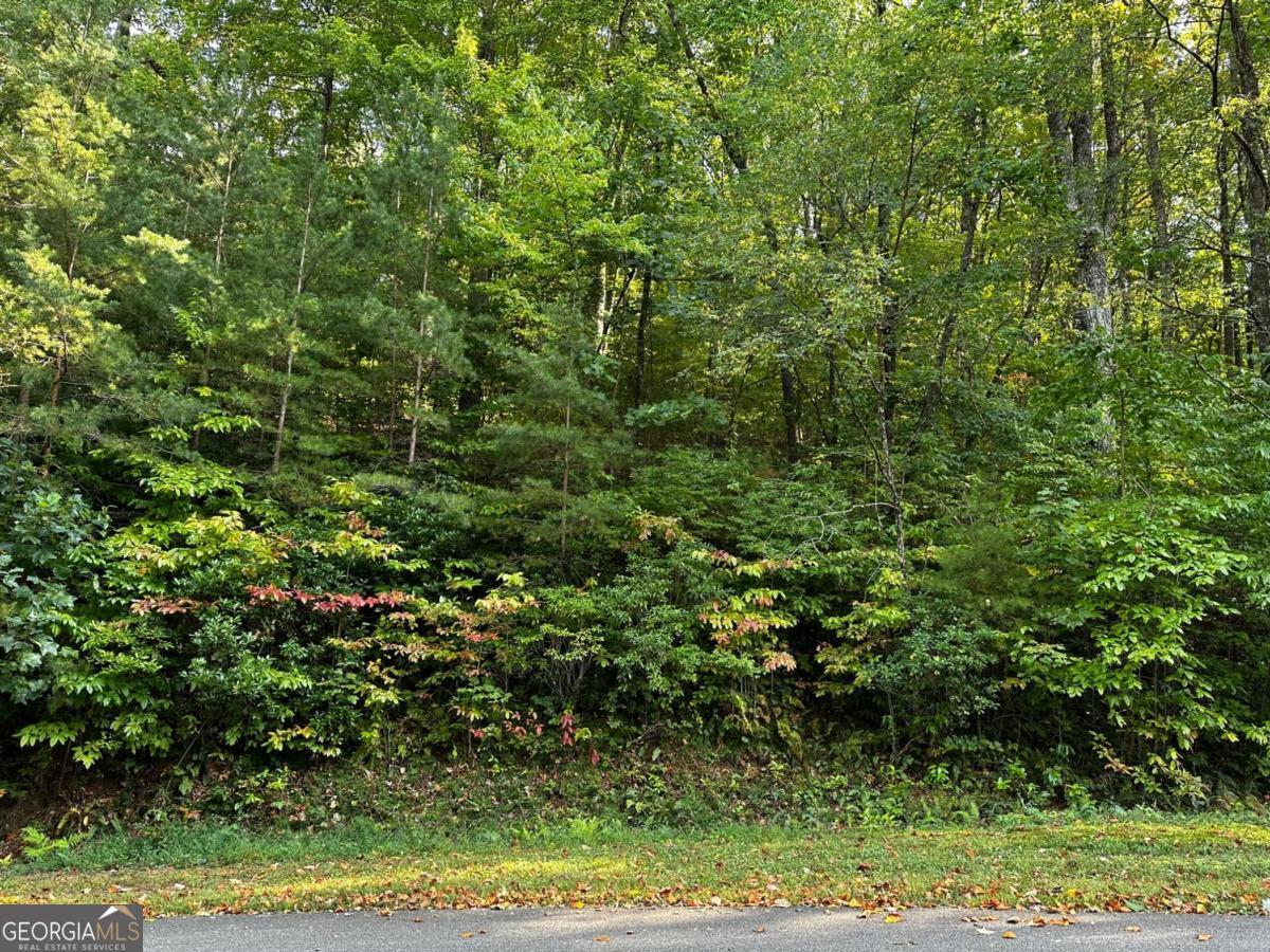66 St. Andrews Way Jasper, GA 30143 - Photo 15 of 35 a view of a yard
