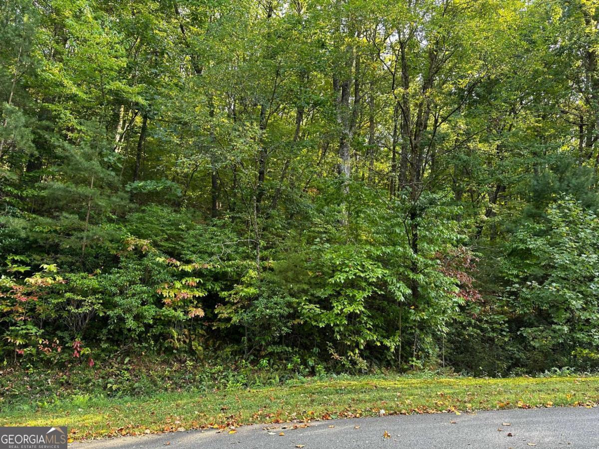 66 St. Andrews Way Jasper, GA 30143 - Photo 16 of 35 a view of a yard