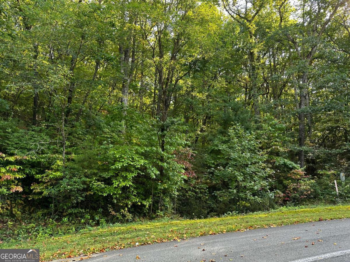 66 St. Andrews Way Jasper, GA 30143 - Photo 17 of 35 a view of a yard with plants