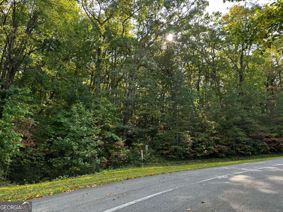 66 St. Andrews Way Jasper, GA 30143 - Photo 19 of 35 a view of a yard with a trees