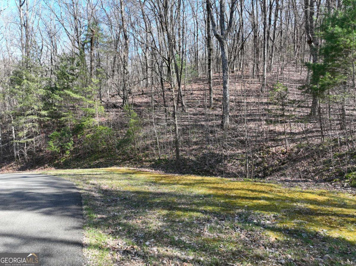 66 St. Andrews Way Jasper, GA 30143 - Photo 20 of 35 a view of a swimming pool with an outdoor space