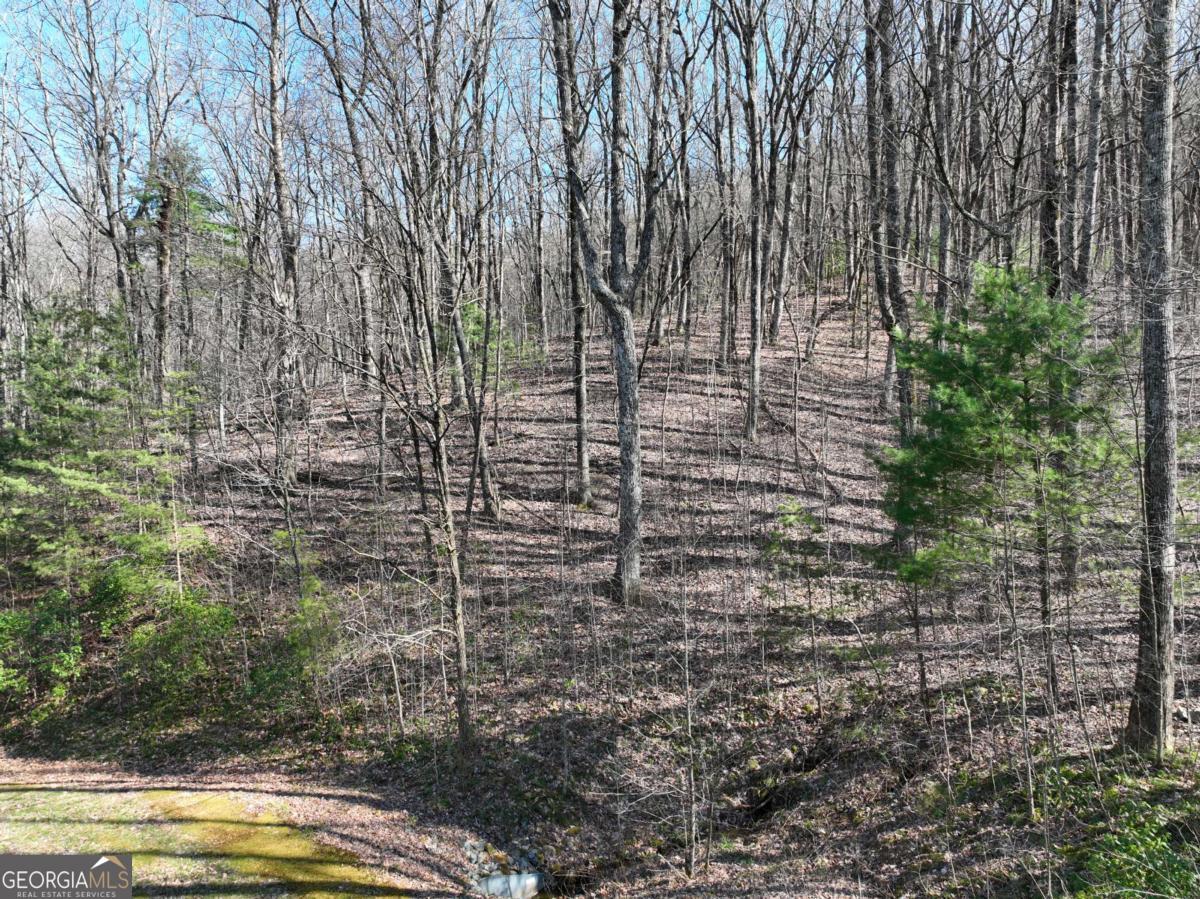 66 St. Andrews Way Jasper, GA 30143 - Photo 21 of 35