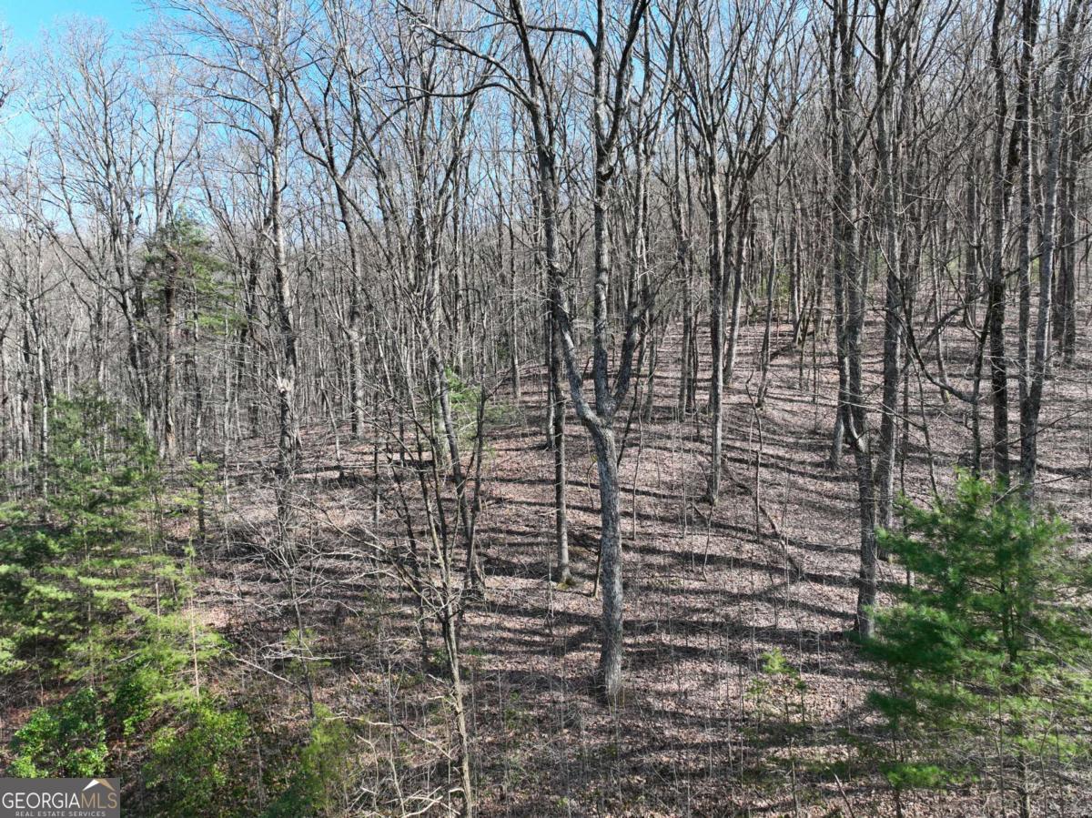 66 St. Andrews Way Jasper, GA 30143 - Photo 22 of 35