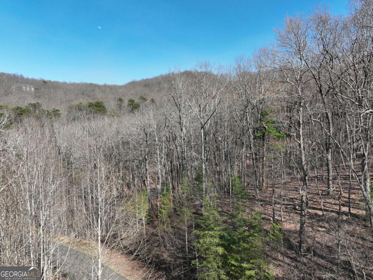 66 St. Andrews Way Jasper, GA 30143 - Photo 25 of 35 a view of a dry yard with mountains in the background