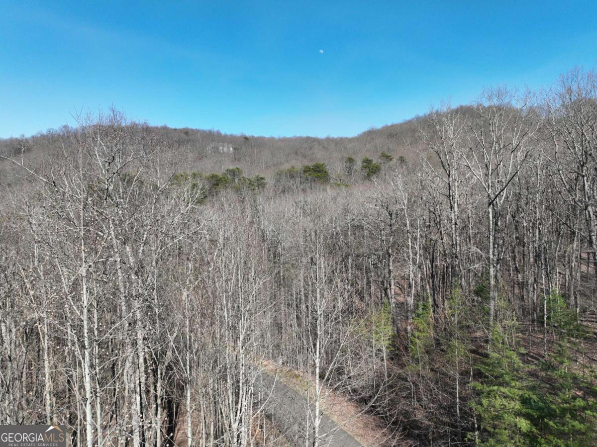 66 St. Andrews Way Jasper, GA 30143 - Photo 26 of 35 a view of a dry yard with trees in the background