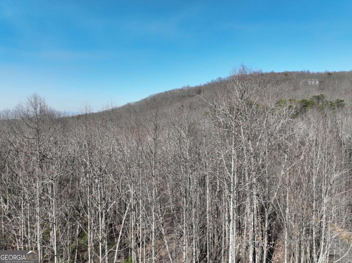 66 St. Andrews Way Jasper, GA 30143 - Photo 27 of 35 a view of a dry yard