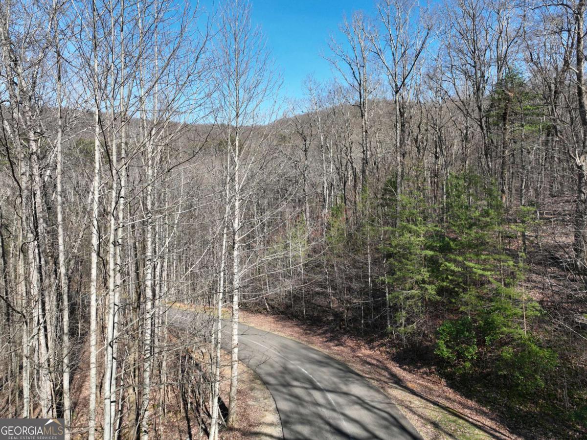 66 St. Andrews Way Jasper, GA 30143 - Photo 28 of 35 a view of a backyard of the house