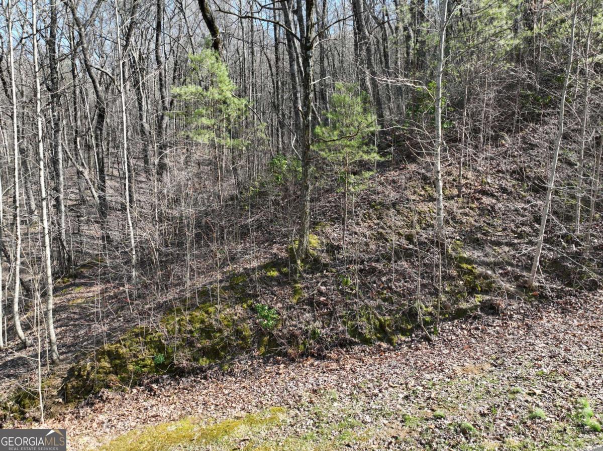 66 St. Andrews Way Jasper, GA 30143 - Photo 29 of 35 a view of a garden