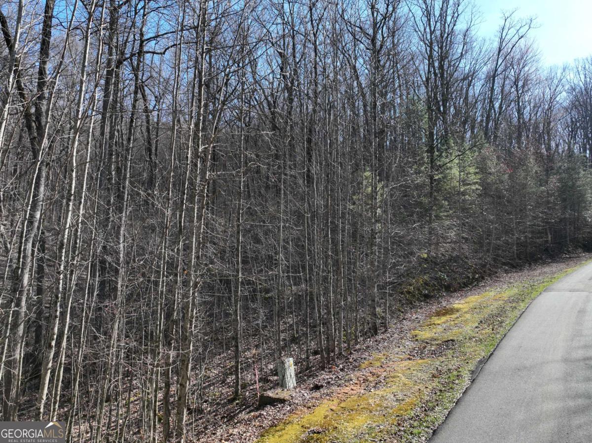 66 St. Andrews Way Jasper, GA 30143 - Photo 31 of 35 a view of a pathway of a yard