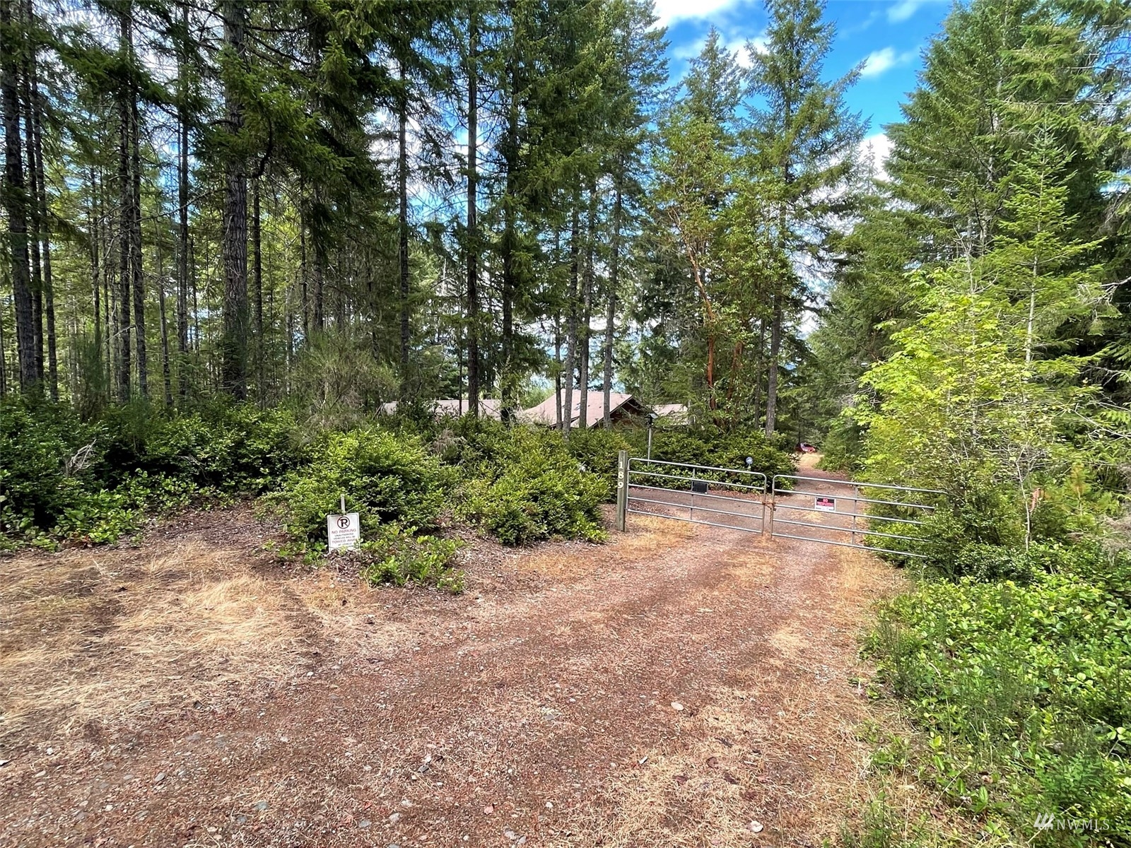 -xxx East Dalby Road Union, WA 98592 - Photo 11 of 17 a view of a plants with large trees