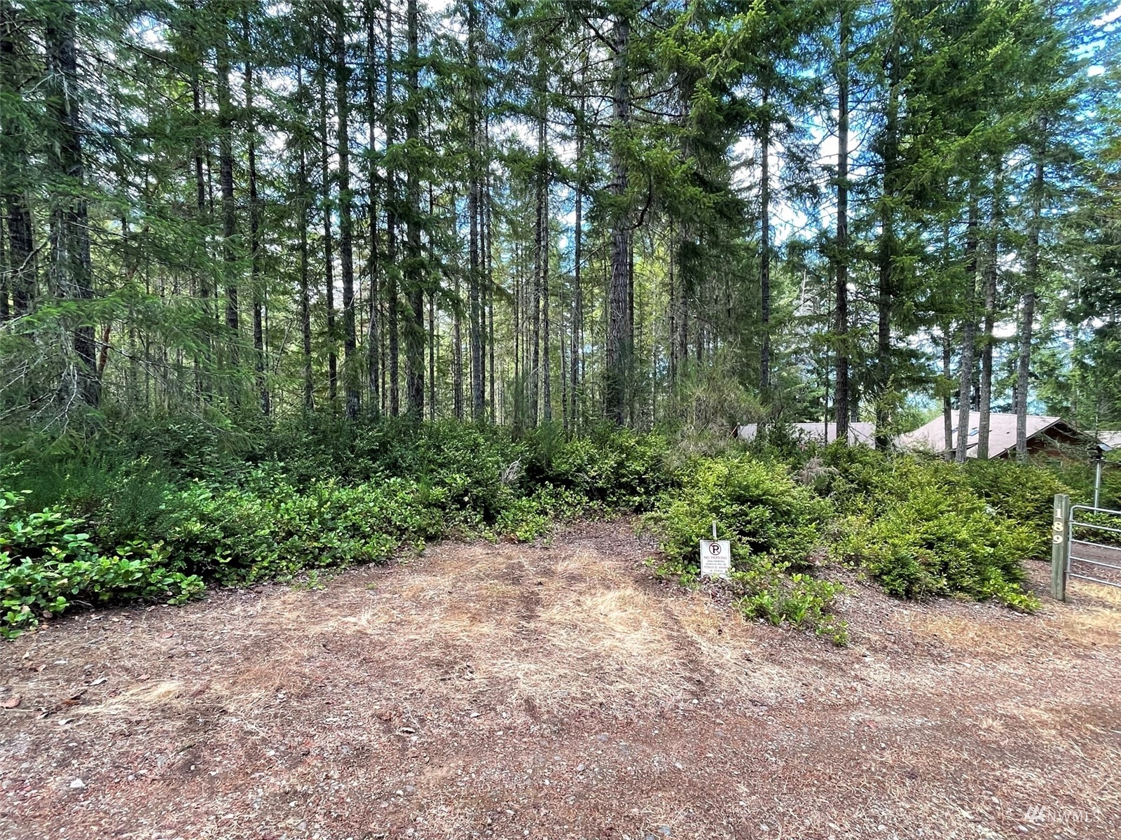 -xxx East Dalby Road Union, WA 98592 - Photo 12 of 17 a backyard of a house with lots of green space and trees