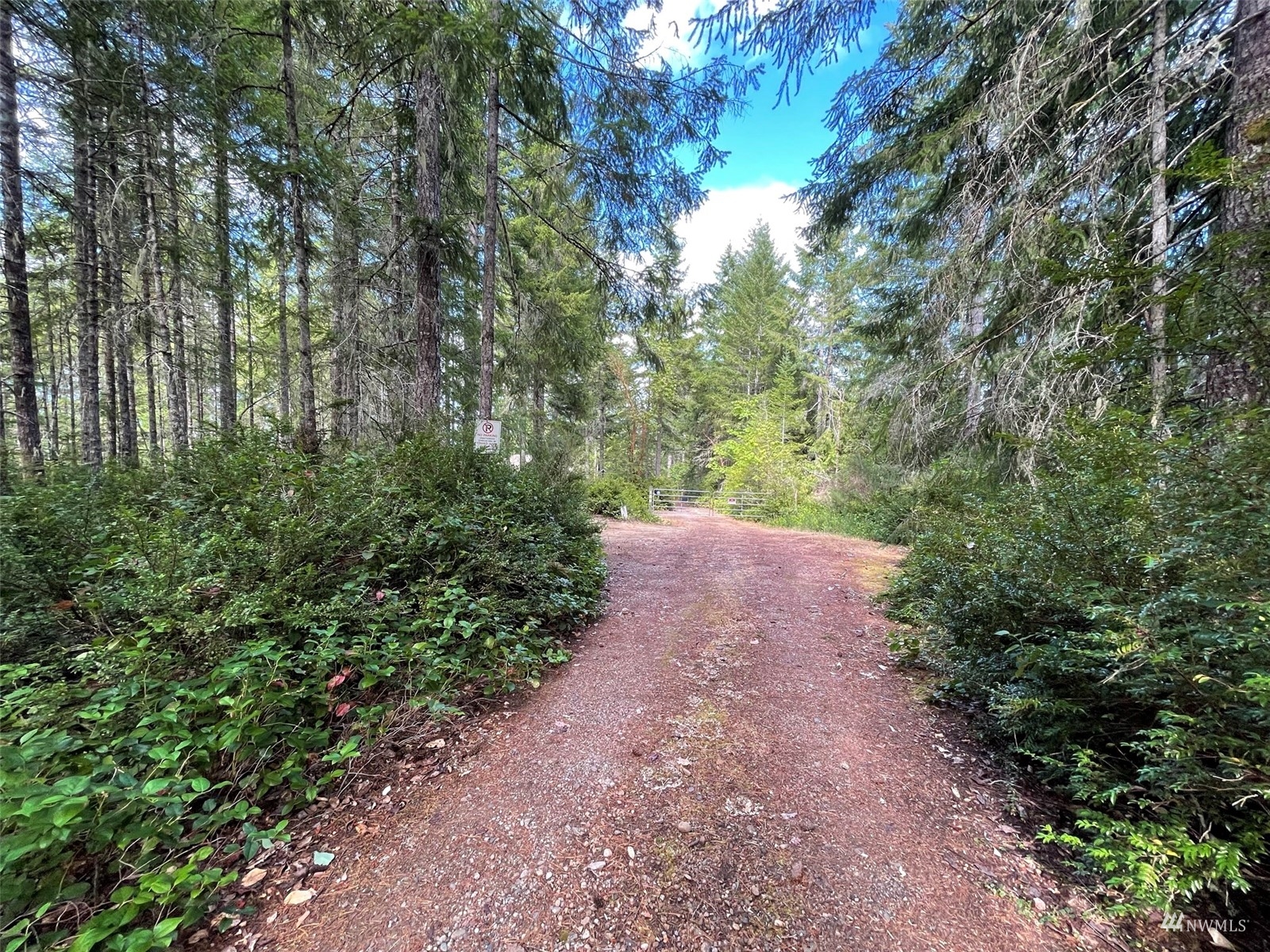 -xxx East Dalby Road Union, WA 98592 - Photo 13 of 17 a view of a large yard with lots of green space