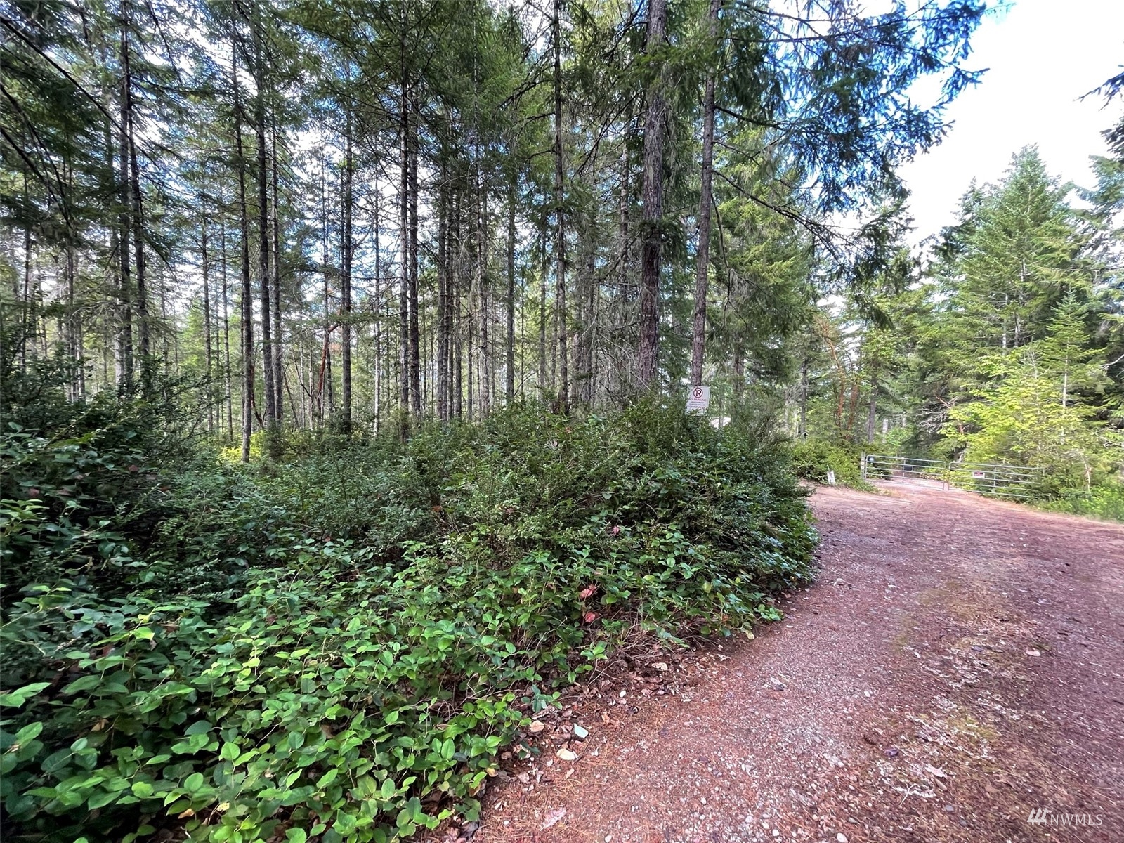 -xxx East Dalby Road Union, WA 98592 - Photo 14 of 17 a view of a garden with plants