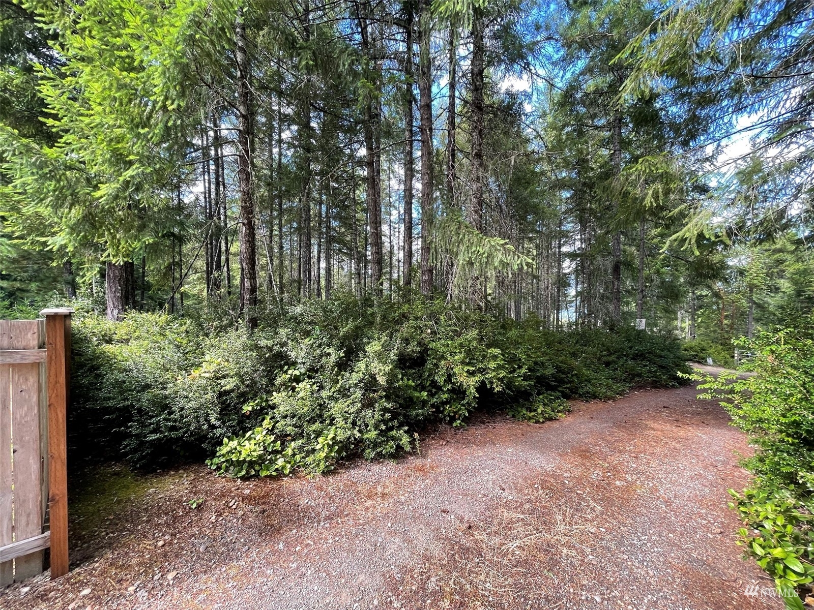 -xxx East Dalby Road Union, WA 98592 - Photo 15 of 17 a view of backyard with green space