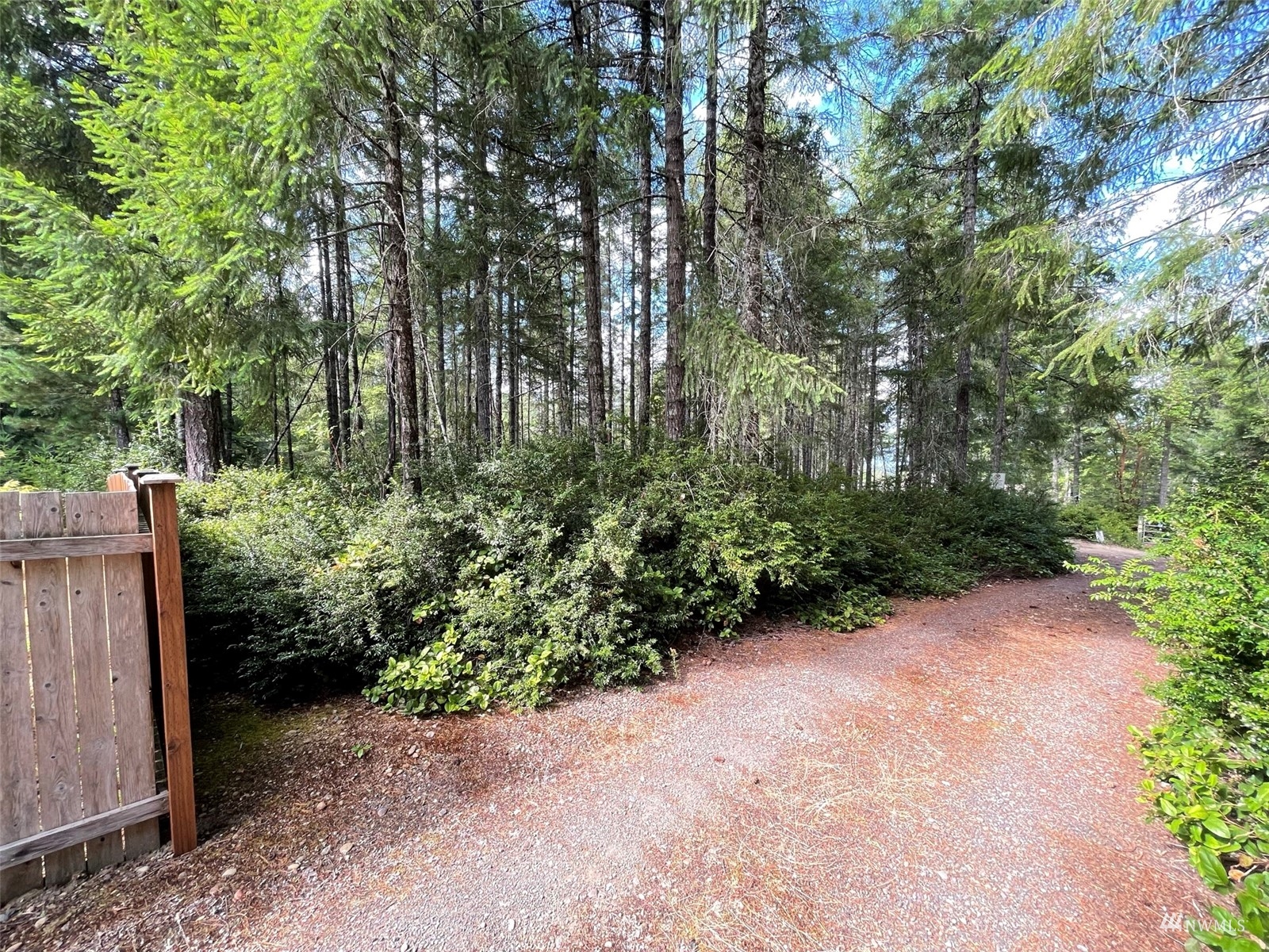 -xxx East Dalby Road Union, WA 98592 - Photo 16 of 17 a view of backyard with green space