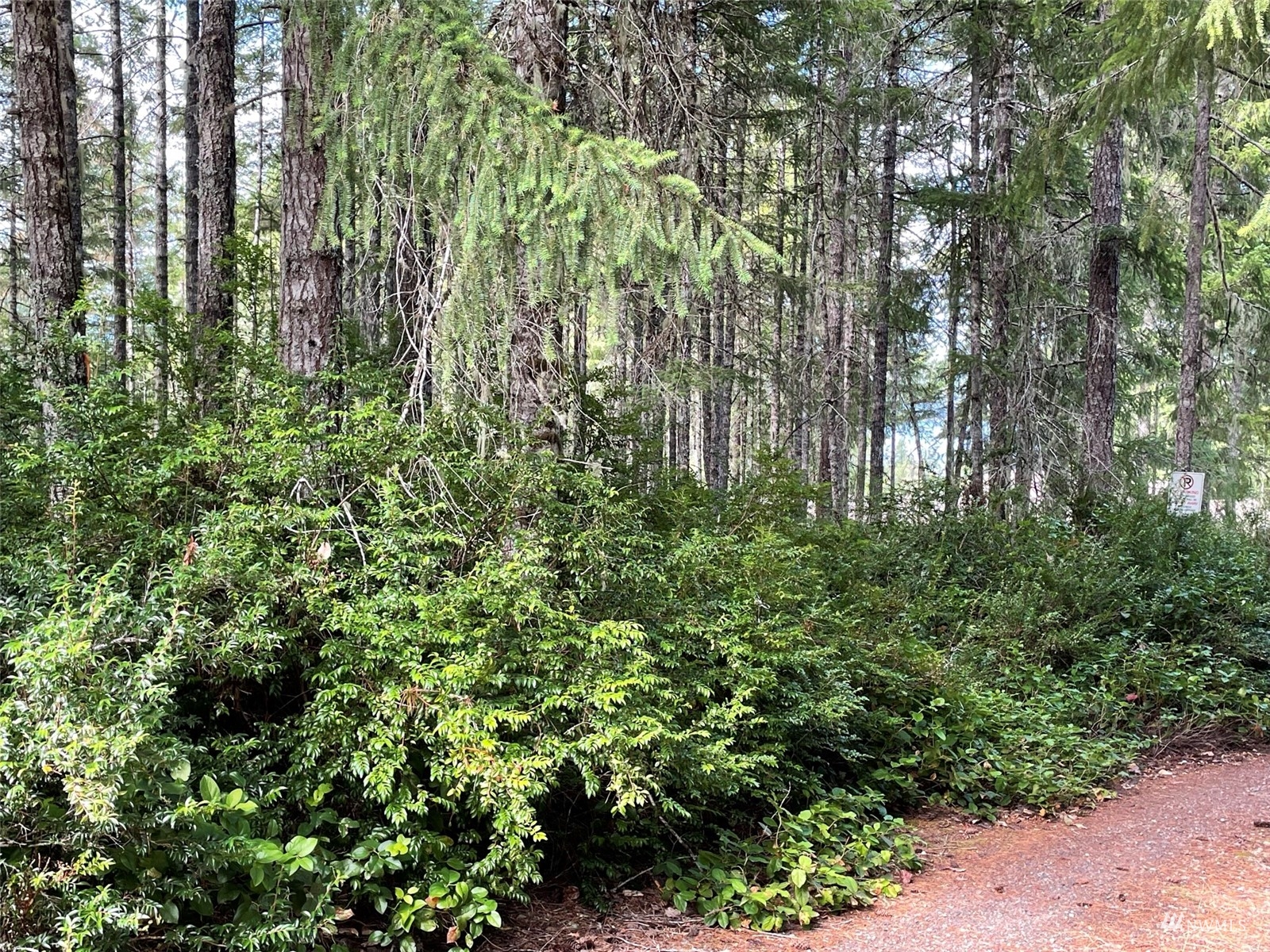 -xxx East Dalby Road Union, WA 98592 - Photo 17 of 17 a view of a garden