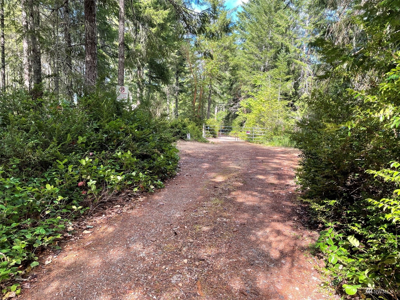 -xxx East Dalby Road Union, WA 98592 - Photo 3 of 17 a view of a yard with plants and large trees