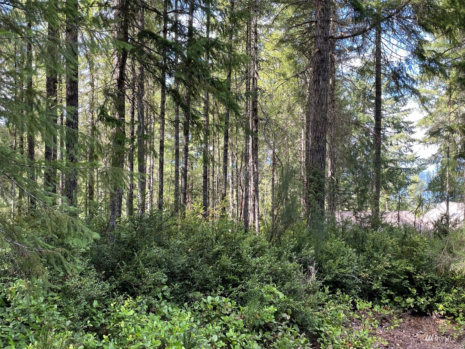 -xxx East Dalby Road Union, WA 98592 - Photo 4 of 17