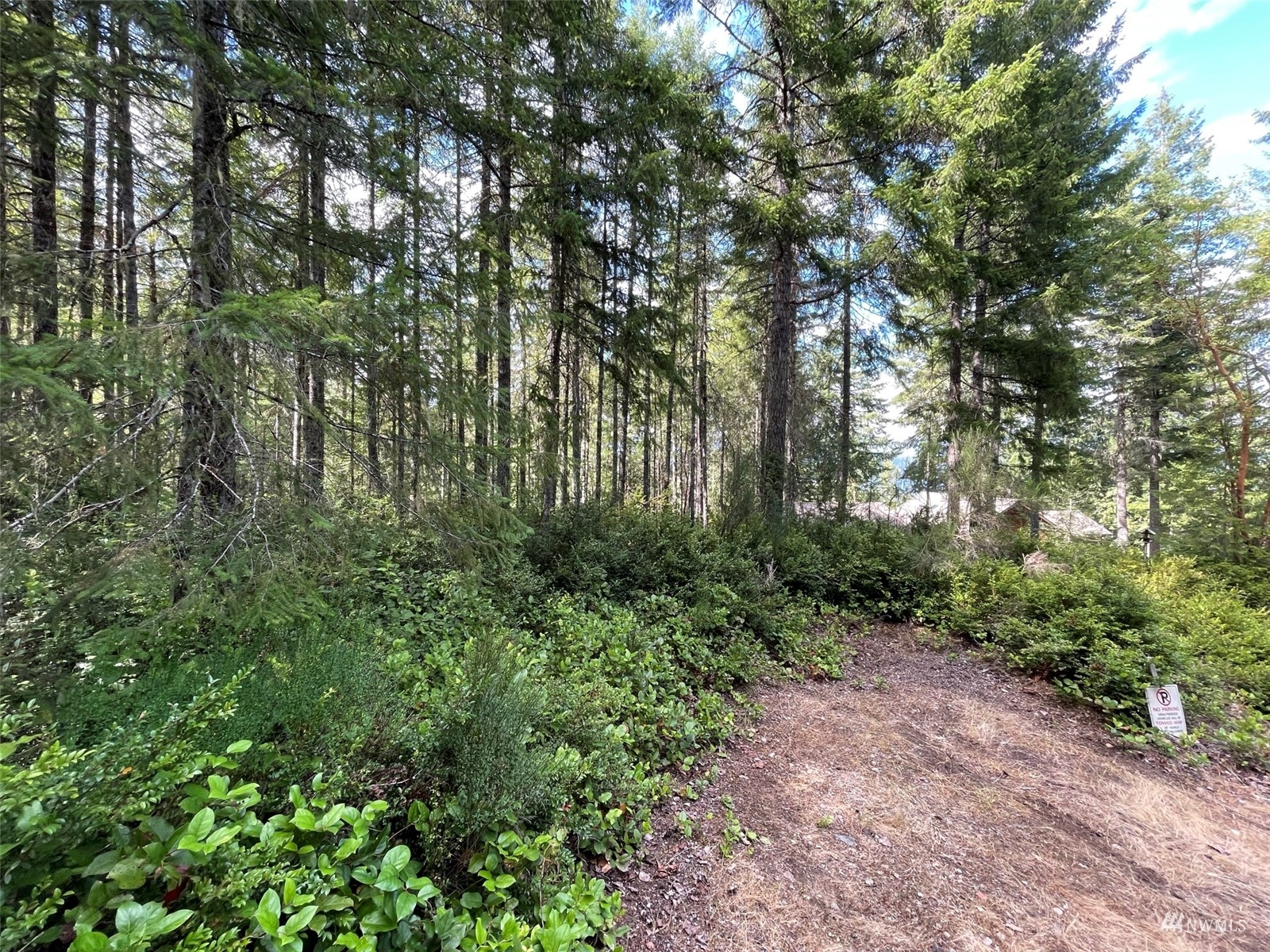 -xxx East Dalby Road Union, WA 98592 - Photo 5 of 17 a view of a yard with plants and trees