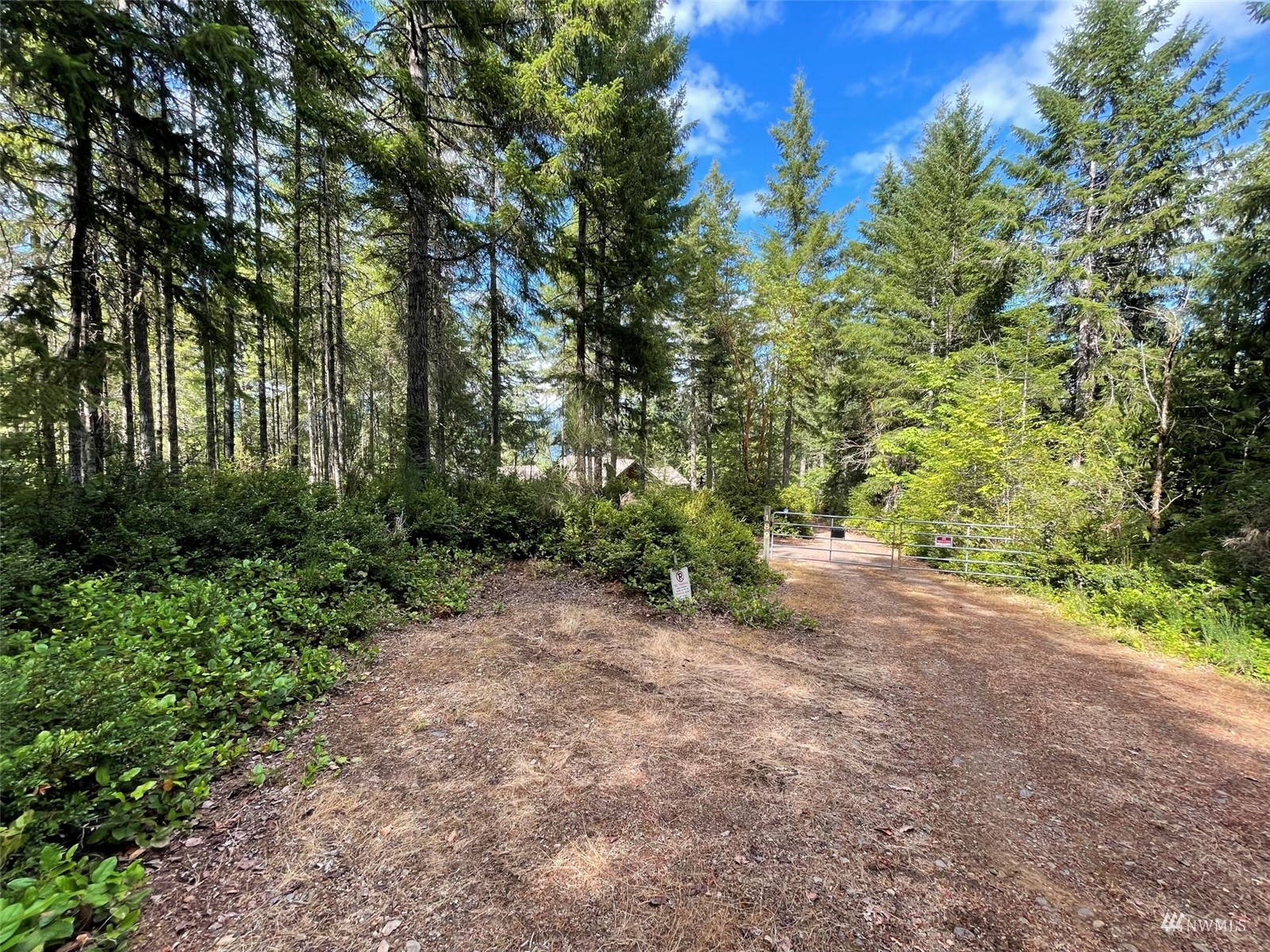 -xxx East Dalby Road Union, WA 98592 - Photo 7 of 17 a view of a yard with a tree