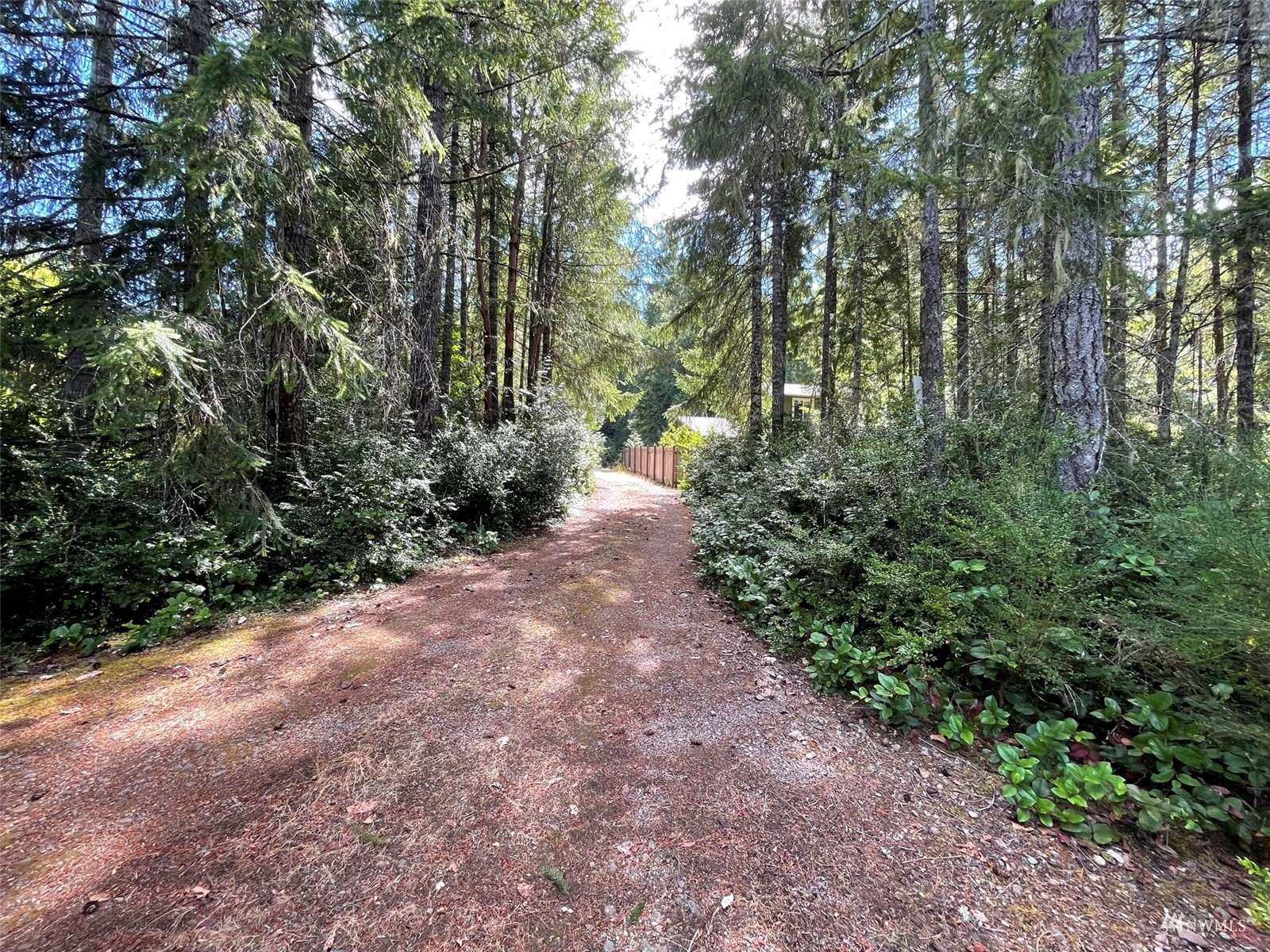 -xxx East Dalby Road Union, WA 98592 - Photo 8 of 17 a view of backyard with green space